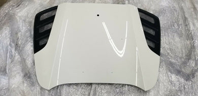 FERRARI 488 SPIDER EXTERIOR REAR LID ENGINE HOOD COVER PANEL OEM 87381811